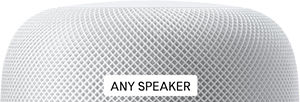 Audio Beacon (Normal Speaker)